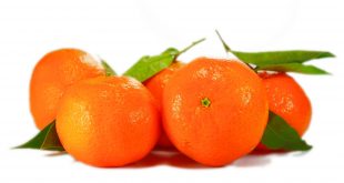 naranjas mandarinas clementinas