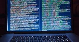 programador